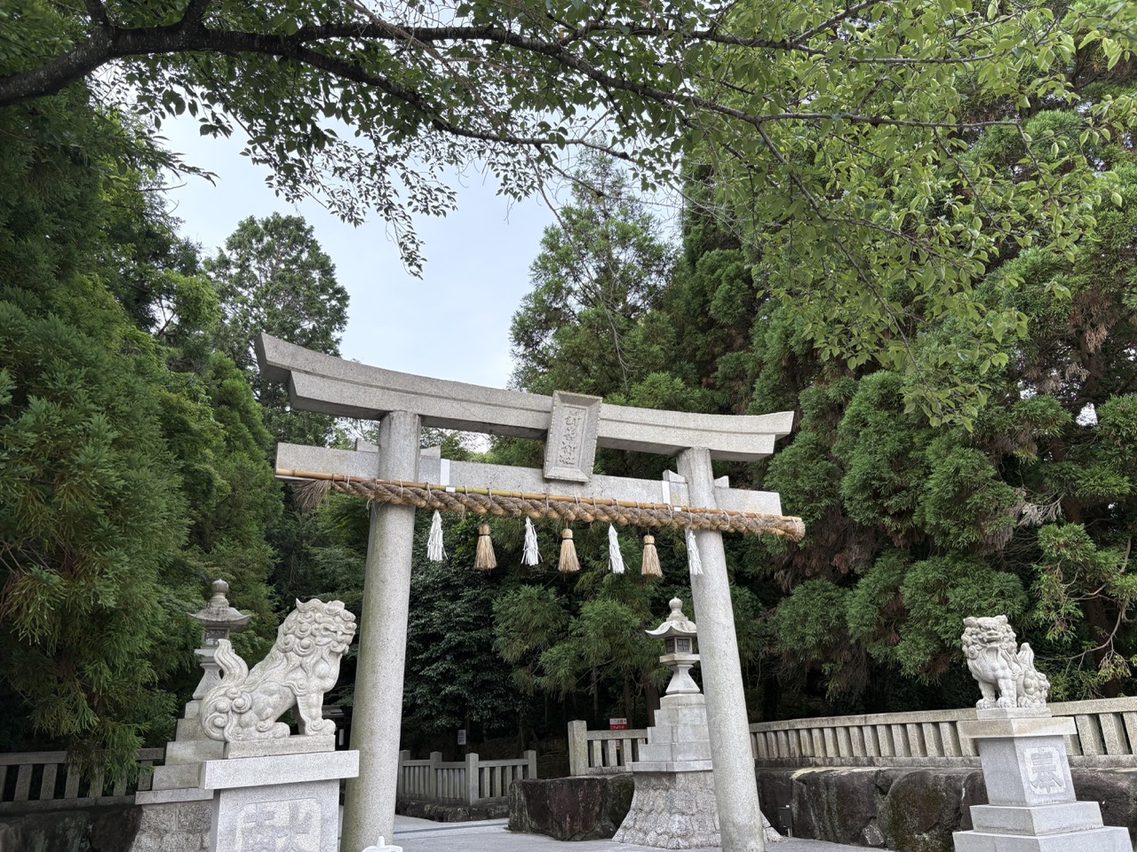 美丽的参道与宏伟的正殿——针名神社｜名古屋市天白区